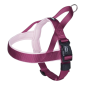 Nobby Classic Preno prsnik za pse L 60-76 cm+46cm 25/35mm pink