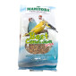 Manitoba Best Condition Extra hrana za kanarince i tigrice 400g