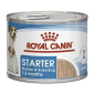 Royal Canin Starter Mother & Babydog Mousse - hrana za štenad 195g