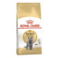 Royal Canin Adult British Shorthair - suha hrana za mačke 400g