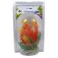 Croci tropsko bilje za akvarij 14-17cm