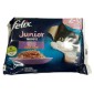 Felix Junior Fantastic mix piletina i riba za mačke 4 x 85 g