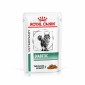 Royal Canin Diabetic pouch hrana za mačke 85g