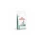 Royal Canin Dog Veterinary Diabetic - medicinska suha hrana za pse 7kg