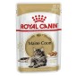 Royal Canin Maine Coon hrana za mačke 85 g