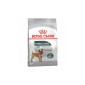 Royal Canin Mini Dental Care - suha hrana za pse 1kg