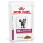 Royal Canin Renal Beef govedina hrana za mačke 85g
