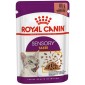 Royal Canin Sensory Taste - hrana za mačke 85g