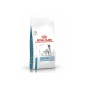 Royal Canin Small Dog Skin Care - medicinska suha hrana za pse 2kg