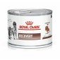 Royal Canin V Diet Recovery medicinska hrana za pse i mačke 195g