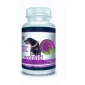 UroVital 80 tableta
