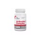 Vet Expert ArthroVet Complex