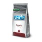 VetLife Natural Hepatic Diet hrana za mačke 2kg