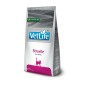VetLife Natural Struvite Diet hrana za mačke 2kg