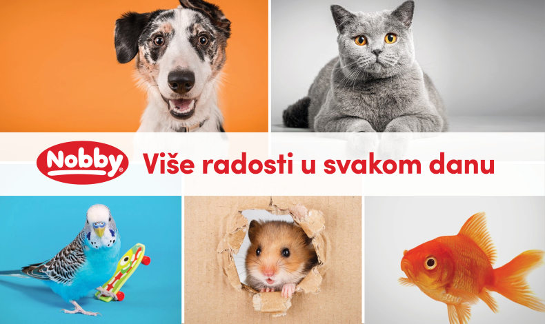 Igra, odmor i uživanje